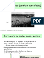 Tema 3.pánico