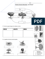 Trabajo Práctico Ciencias Naturales PLANTAS.