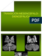 Transición Mesencefalo-Diencefálica