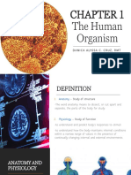Anaphy Chapter 1 The Human Organism