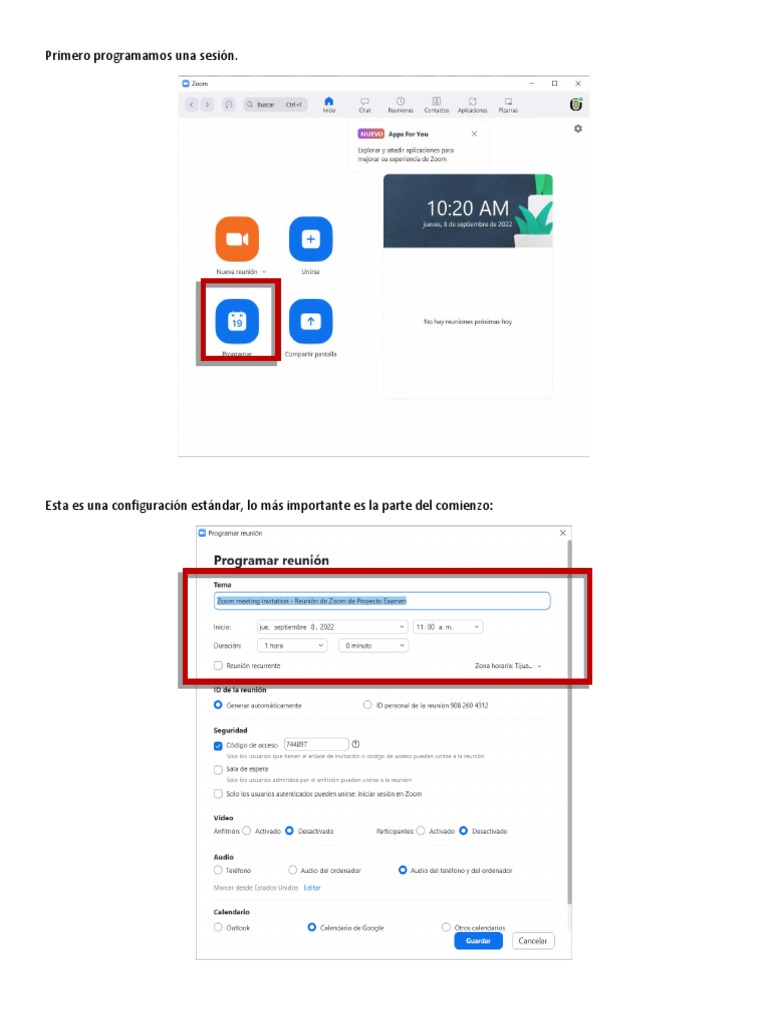Programar y Mandar Por Correo Reunion de Zoom PDF