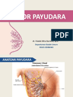 Tumor Payudara