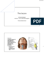 Larynx