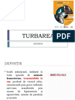 TURBAREA 