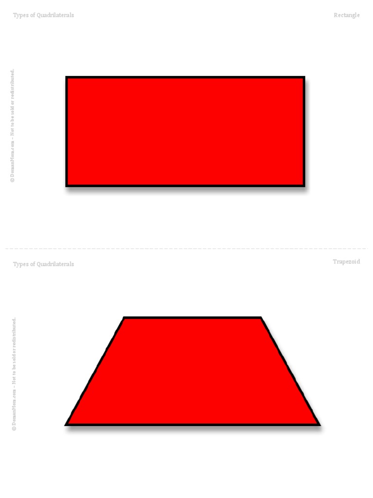 Types of Quadrilaterals PDF Elementary Geometry Polytopes