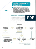 Teorias y Procesos de Evolución