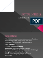 Fotosintesis