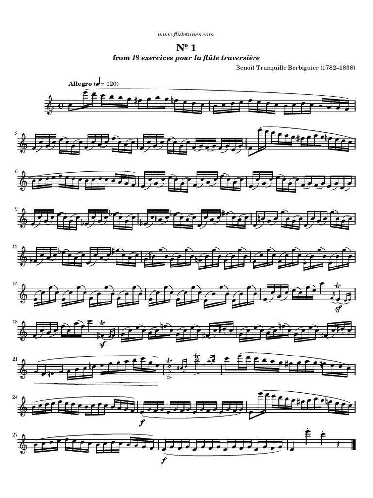 Flute Berbiguier 1 PDF