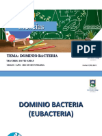 Dominio Bacteria