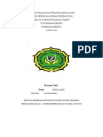Laporan PKK Keperawatan Ny.D dengan Diagnosa Febris di Puskesmas Berseri (40