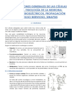 Tema 2: Funciones Generales de Las Células Nerviosas. Fisiología de La Neurona: Potenciales Bioeléctricos, Propagación Del Impulso Nervioso, Sinapsis