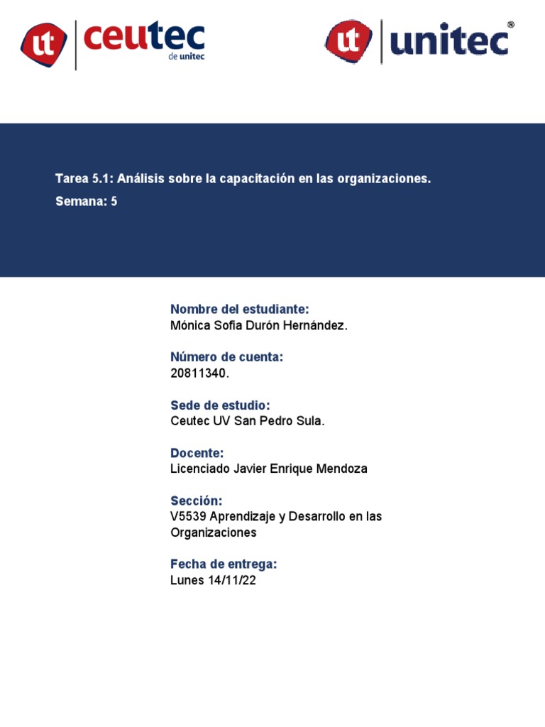 Análisis de la Capacitación Organizacional | PDF | Aprendizaje ...