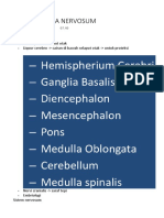 Anat. Sistema Nervosum