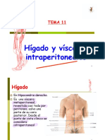 Hi Ügado y VI Üsceras Intraperitoneales 2019
