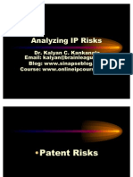 IP Risk Analysis