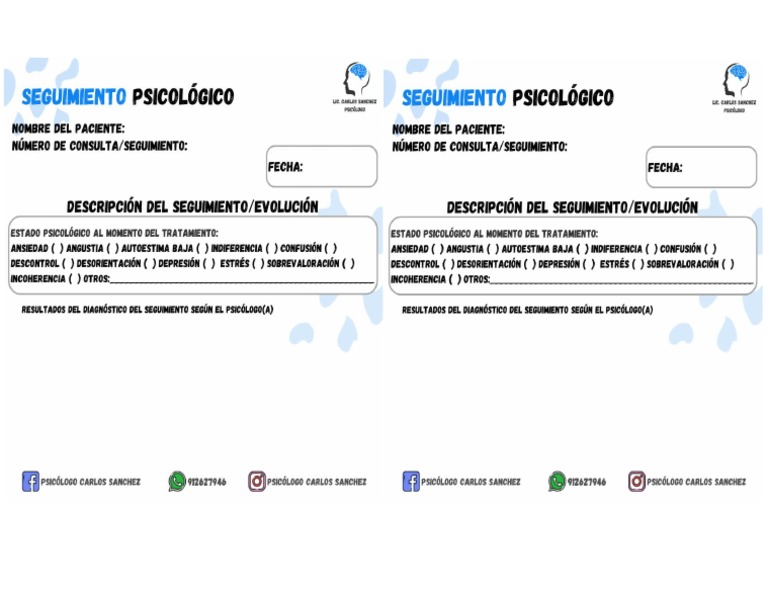 Seguimiento Psicológico PDF