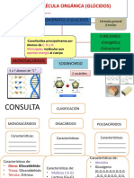 Tema 8 - Glúcidos