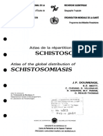 Schistosomiases: Schistosomiasis