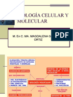 Biología Celular y Molecular 1