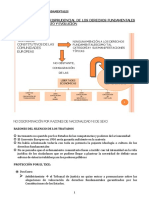 Tema 10 LOS DERECHOS FUNDAMENTALES