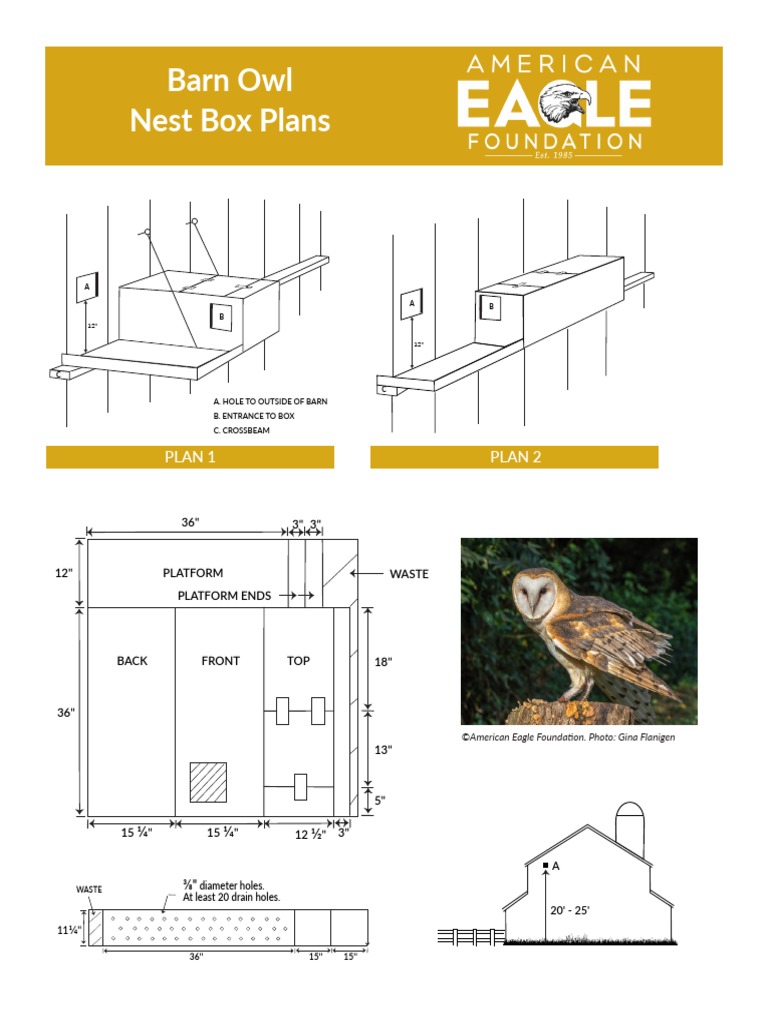 Barn Owl Nest Box Plans | PDF | Owl | Barn