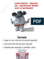 dezvoltarea_dinților__stom__2021-34891