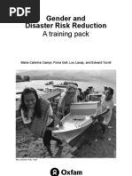 Gender and Disaster Risk Reduction