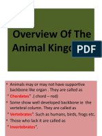 Overview of Animal Kingdom Classification