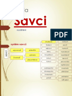 Prirodopis Zapis Savci 1 Vejcorodi Chudozubi