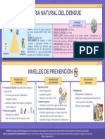 Prevención Del Dengue