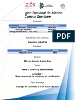 ACTIVIDADES Tema 2 - Matrices y Determinantes