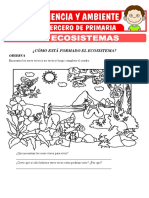 Los Ecosistemas para Tercero de Primaria