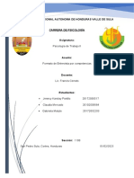 Formato de Entrevista Por Competencias