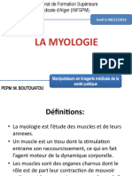 5 La Myologie