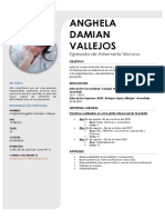 Anghela Damian Vallejos CV