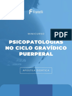 Apostila - Minicurso Psicopatologias No Ciclo Gravídico-Puerperal