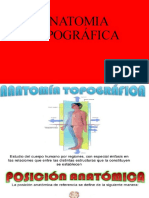 Anatomia Topografica (Medicina Laboral)