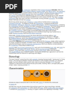 Oq pantiesda uy qurilishi fotosuratlari