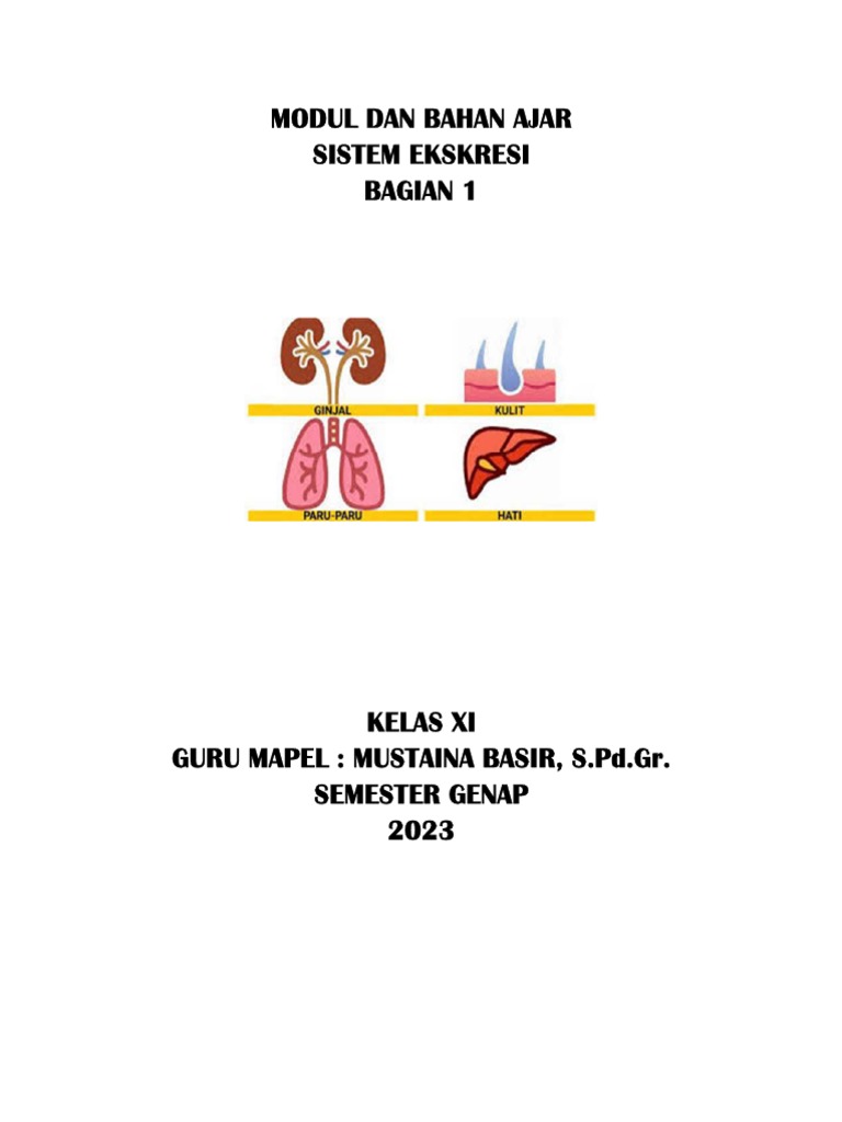 Bahan Ajar Ginjal Sistem Ekskresi | PDF