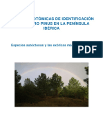 Claves Dicotomicas de Identificación Del Género Pinus en La Península Ibérica