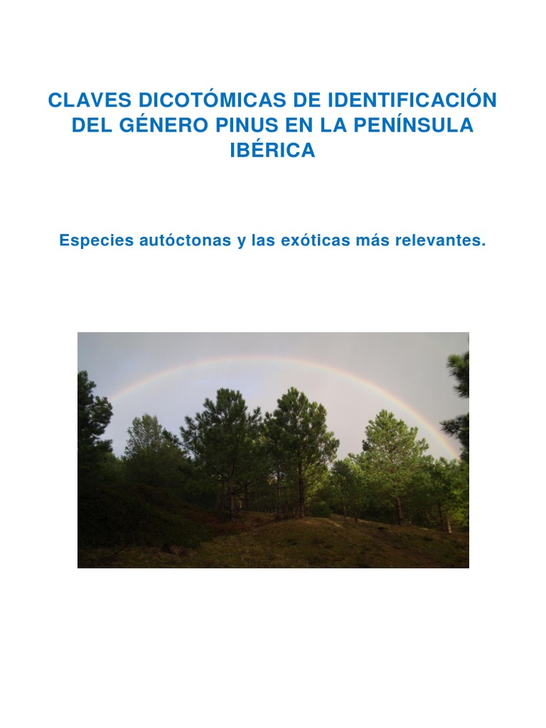 Claves Dicotomicas de Identificación Del Género Pinus en La Península ...