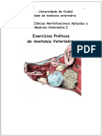 Exercícios Práticos de Anatomia Veterinária - PDF Free Download