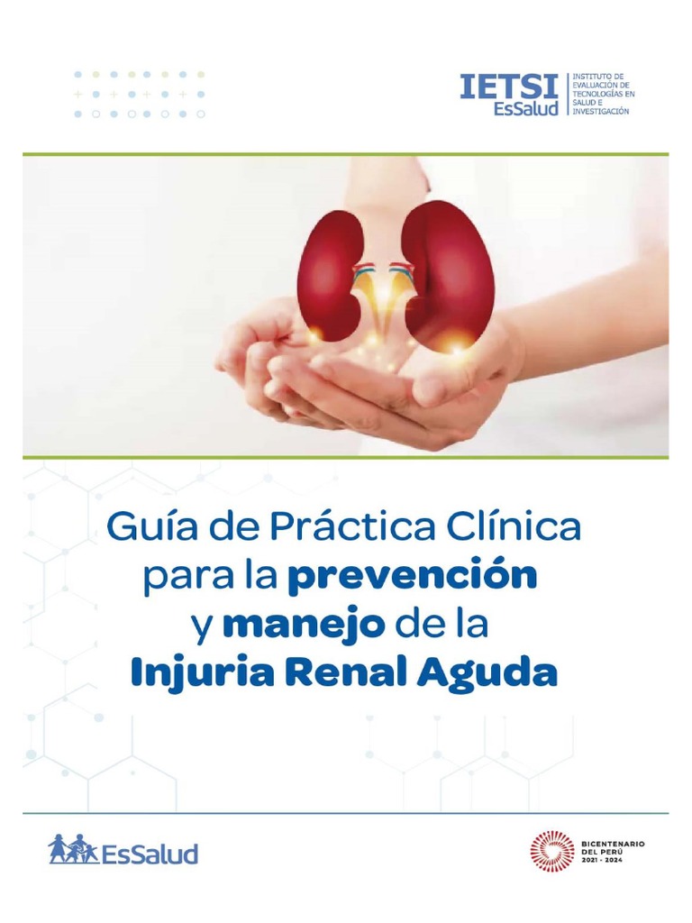 Guía Clínica: Manejo de Injuria Renal Aguda | PDF | Enfermedad renal ...