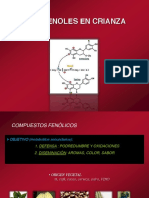 Polifenoles en Crianza