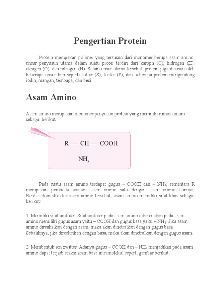 Pengertian dan Struktur Protein | PDF | Sains & Matematika