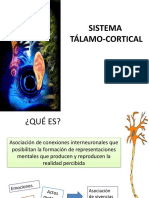 Sistema Tálamo Cortical
