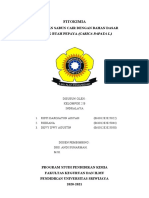 Projek Proposal Fitokimia_Kelompok 2_B Indralaya.