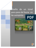 Diseño de túnel para paso de fauna en autopista