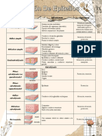 Clasificacion de Epitelios