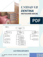 Histologia Bucal - Dentina